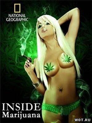 Супертрава марихуана (2009) смотреть онлайн